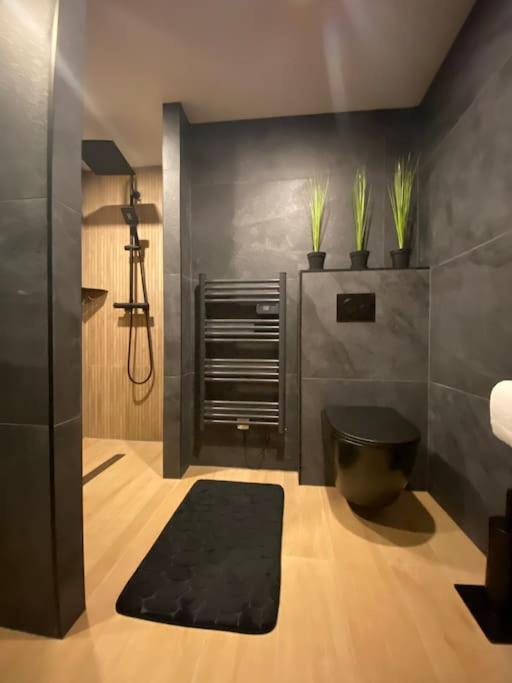 Suite Liana - Spa- Sauna Rorschwihr Exterior foto