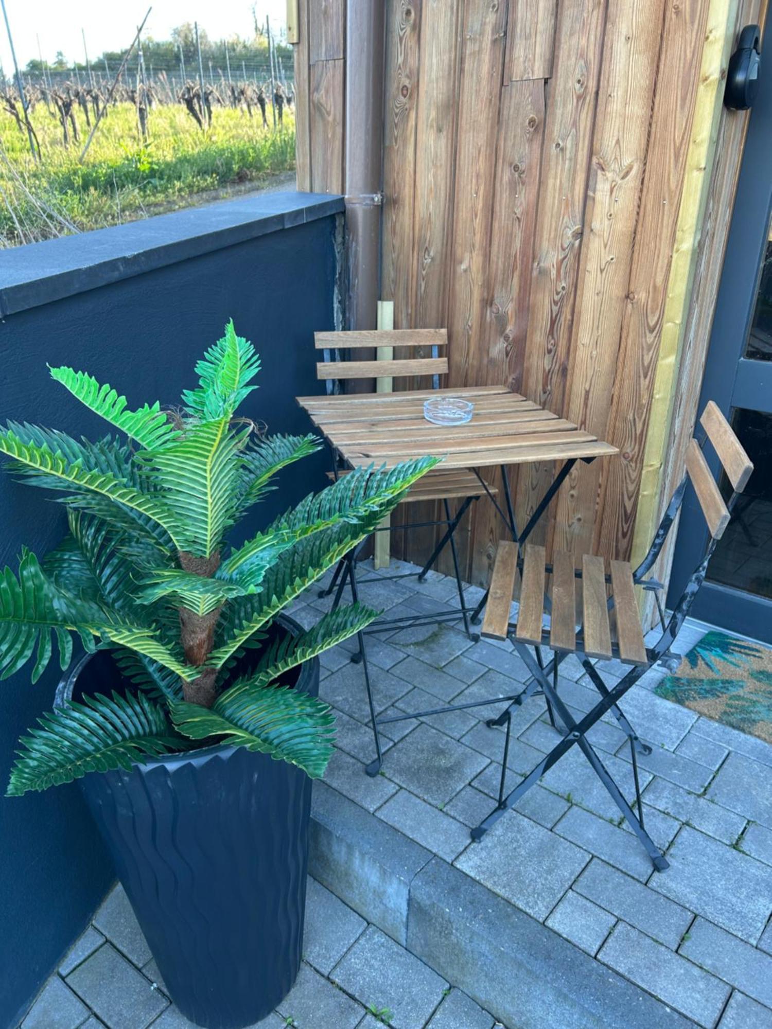 Suite Liana - Spa- Sauna Rorschwihr Exterior foto